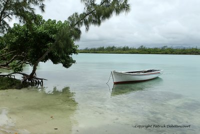 2 weeks on Mauritius island in march 2010 - 2012MK3_1224_DxO WEB.jpg