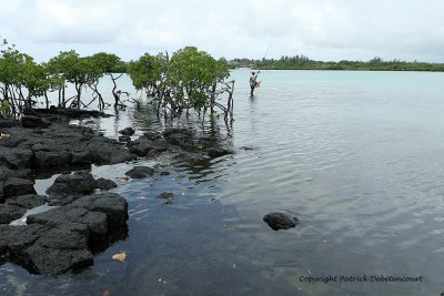 2 weeks on Mauritius island in march 2010 - 2014MK3_1226_DxO WEB.jpg