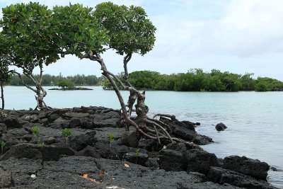 2 weeks on Mauritius island in march 2010 - 2016MK3_1228_DxO WEB.jpg