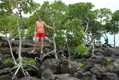 2 weeks on Mauritius island in march 2010 - 2019MK3_1231_DxO WEB.jpg