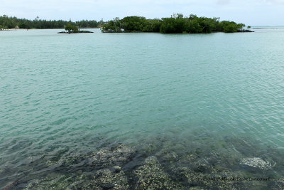 2 weeks on Mauritius island in march 2010 - 2023MK3_1235_DxO WEB.jpg