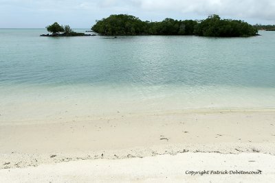 2 weeks on Mauritius island in march 2010 - 2025MK3_1237_DxO WEB.jpg