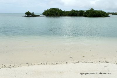 2 weeks on Mauritius island in march 2010 - 2026MK3_1238_DxO WEB.jpg