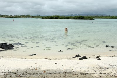 2 weeks on Mauritius island in march 2010 - 2032MK3_1244_DxO WEB.jpg
