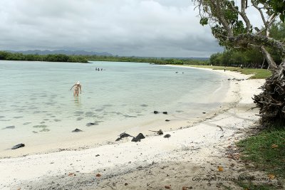 2 weeks on Mauritius island in march 2010 - 2033MK3_1245_DxO WEB.jpg