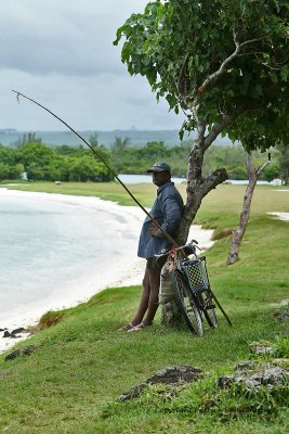 2 weeks on Mauritius island in march 2010 - 2035MK3_1247_DxO WEB.jpg