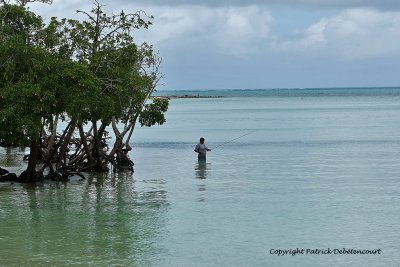 2 weeks on Mauritius island in march 2010 - 2051MK3_1266_DxO WEB.jpg