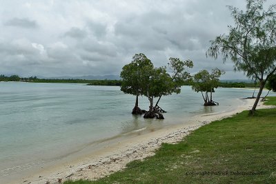 2 weeks on Mauritius island in march 2010 - 2064MK3_1280_DxO WEB.jpg