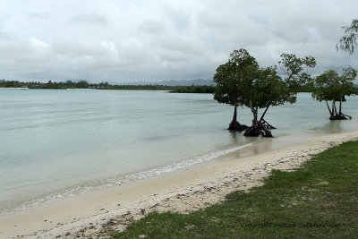 2 weeks on Mauritius island in march 2010 - 2065MK3_1281_DxO WEB.jpg