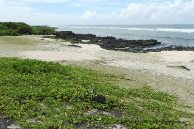 2 weeks on Mauritius island in march 2010 - 2069MK3_1285_DxO WEB.jpg