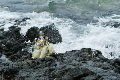 2 weeks on Mauritius island in march 2010 - 2077MK3_1293_DxO WEB.jpg