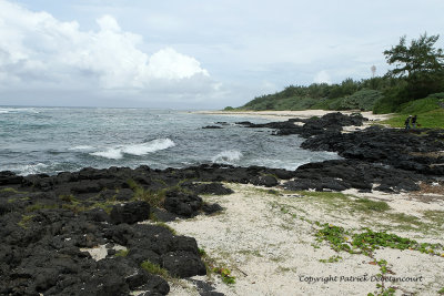 2 weeks on Mauritius island in march 2010 - 2080MK3_1296_DxO WEB.jpg