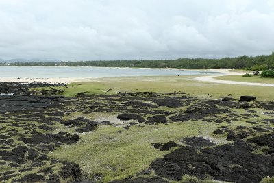 2 weeks on Mauritius island in march 2010 - 2086MK3_1303_DxO WEB.jpg