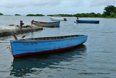 2 weeks on Mauritius island in march 2010 - 2106MK3_1325_DxO WEB.jpg