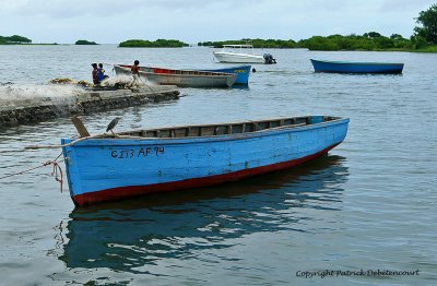 2 weeks on Mauritius island in march 2010 - 2107MK3_1327_DxO WEB.jpg
