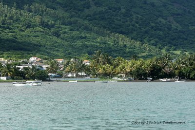 2 weeks on Mauritius island in march 2010 - 2234MK3_1460_DxO WEB.jpg