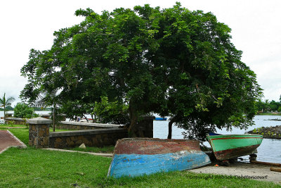 2 weeks on Mauritius island in march 2010 - 2109MK3_1329_DxO WEB.jpg