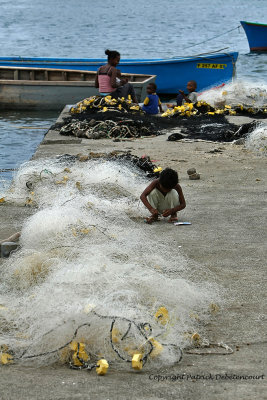 2 weeks on Mauritius island in march 2010 - 2111MK3_1333_DxO WEB.jpg