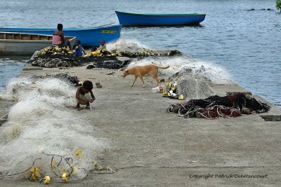 2 weeks on Mauritius island in march 2010 - 2112MK3_1334_DxO WEB.jpg