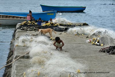 2 weeks on Mauritius island in march 2010 - 2113MK3_1335_DxO WEB.jpg