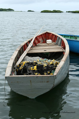 2 weeks on Mauritius island in march 2010 - 2117MK3_1339_DxO WEB.jpg