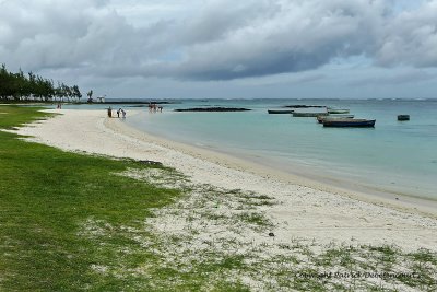 2 weeks on Mauritius island in march 2010 - 2122MK3_1344_DxO WEB.jpg