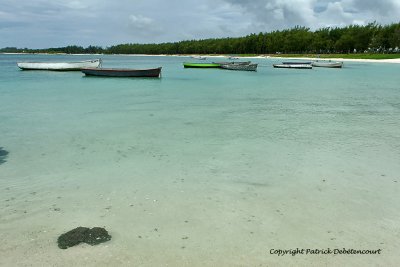 2 weeks on Mauritius island in march 2010 - 2128MK3_1350_DxO WEB.jpg