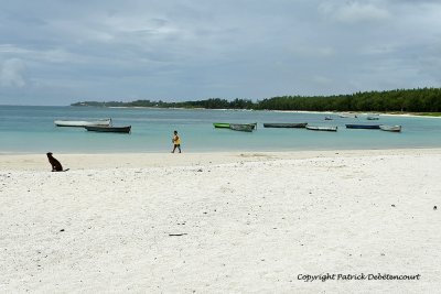 2 weeks on Mauritius island in march 2010 - 2138MK3_1360_DxO WEB.jpg
