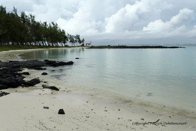 2 weeks on Mauritius island in march 2010 - 2141MK3_1363_DxO WEB.jpg
