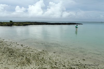 2 weeks on Mauritius island in march 2010 - 2145MK3_1367_DxO WEB.jpg