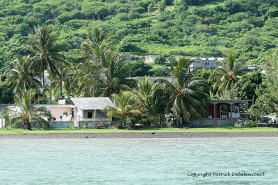2 weeks on Mauritius island in march 2010 - 2241MK3_1467_DxO WEB.jpg