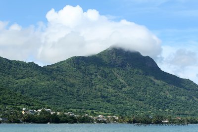 2 weeks on Mauritius island in march 2010 - 2247MK3_1473_DxO WEB.jpg