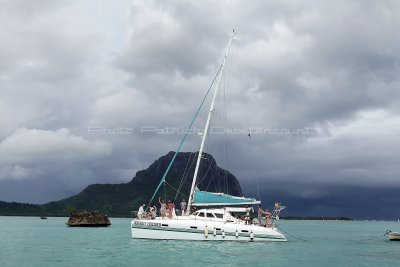 2 weeks on Mauritius island in march 2010 - 2719MK3_1730_DxO WEB.jpg