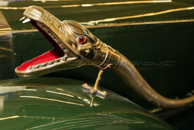 412 Salon Retromobile 2011 - MK3_0979_DxO WEB.jpg