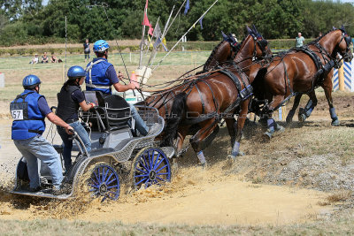 95 Vacances  Vannes aout 2012 - MK3_5100_DxO Pbase.jpg