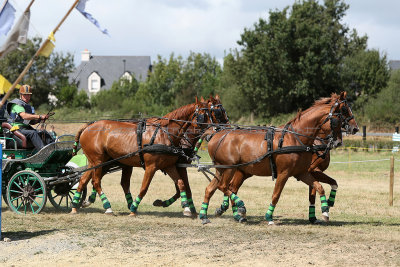 114 Vacances  Vannes aout 2012 - MK3_5117_DxO Pbase.jpg