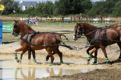 115 Vacances  Vannes aout 2012 - MK3_5118_DxO Pbase.jpg