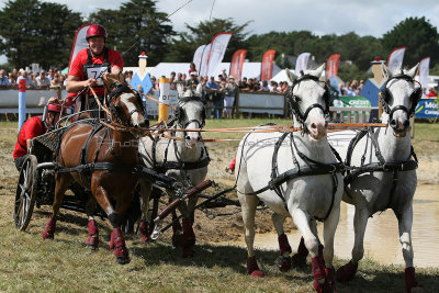 156 Vacances  Vannes aout 2012 - MK3_5159_DxO Pbase.jpg