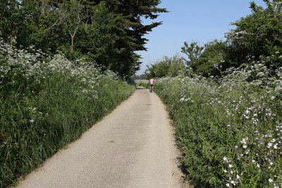 52Tour de l'Ile d'Arz en avril 2011 - IMD495~1.JPG