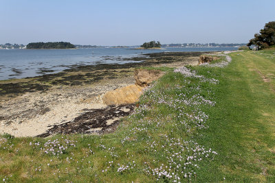 124Tour de l'Ile d'Arz en avril 2011 - IM3BDF~1.JPG