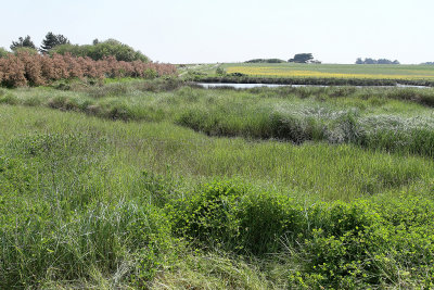 165Tour de l'Ile d'Arz en avril 2011 - IMB02F~1.JPG