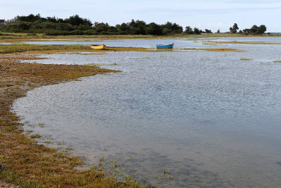 16 Tour de l'Ile d'Arz en aout 2012 - IMEF17~1.JPG