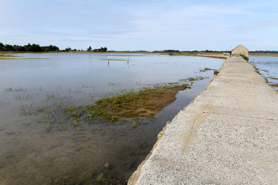 20 Tour de l'Ile d'Arz en aout 2012 - IM98DC~1.JPG