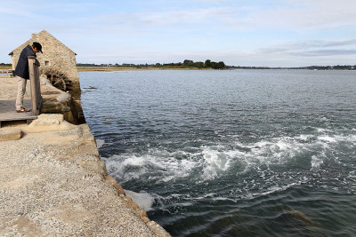 26 Tour de l'Ile d'Arz en aout 2012 - IMCFE8~1.JPG