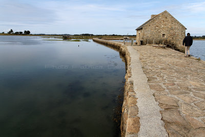 28 Tour de l'Ile d'Arz en aout 2012 - IM329F~1.JPG