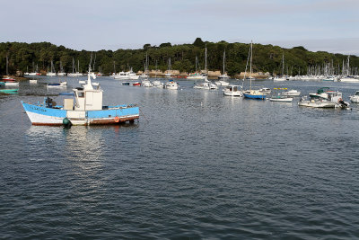 5 Tour de l'Ile d'Arz en aout 2012 - IMA165~1.JPG