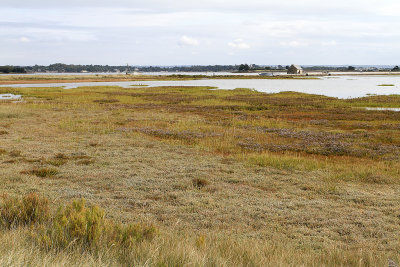 67 Tour de l'Ile d'Arz en aout 2012 - IM1138~1.JPG
