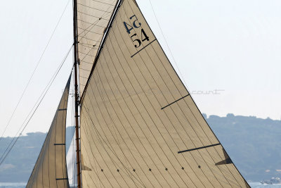 1826 Voiles de Saint-Tropez 2012 - MK3_6924_DxO Pbase.jpg