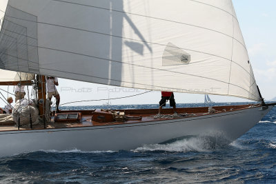 1273 Voiles de Saint-Tropez 2012 - MK3_6694_DxO Pbase.jpg