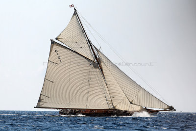 1332 Voiles de Saint-Tropez 2012 - MK3_6742_DxO Pbase.jpg